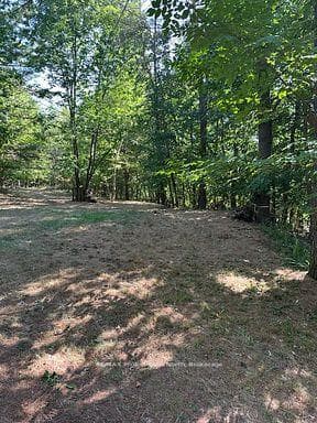2875 County Road 21 Road photo 5