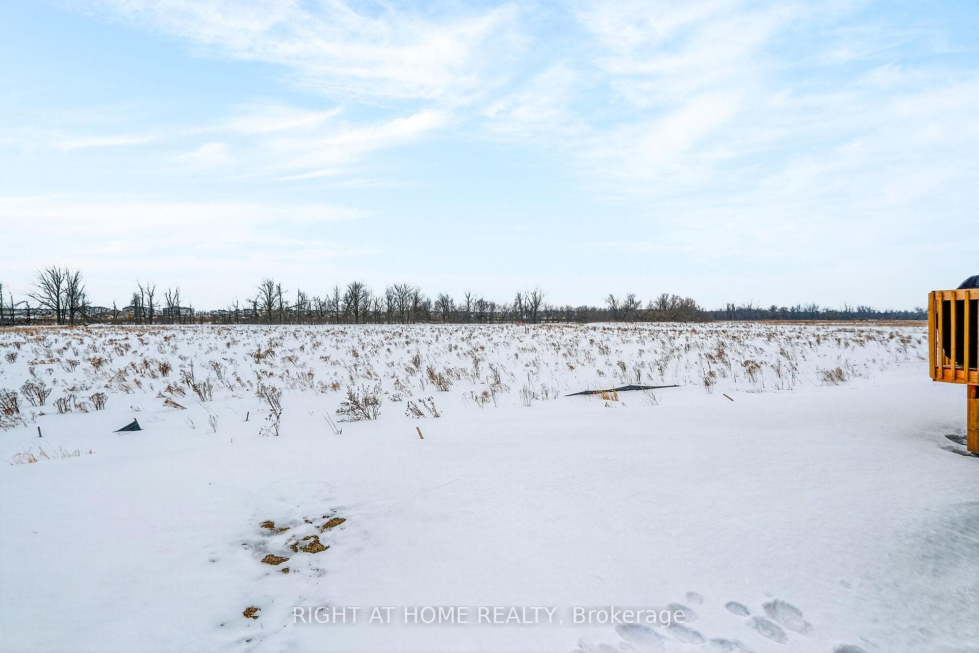 511 Elation Heights photo 44