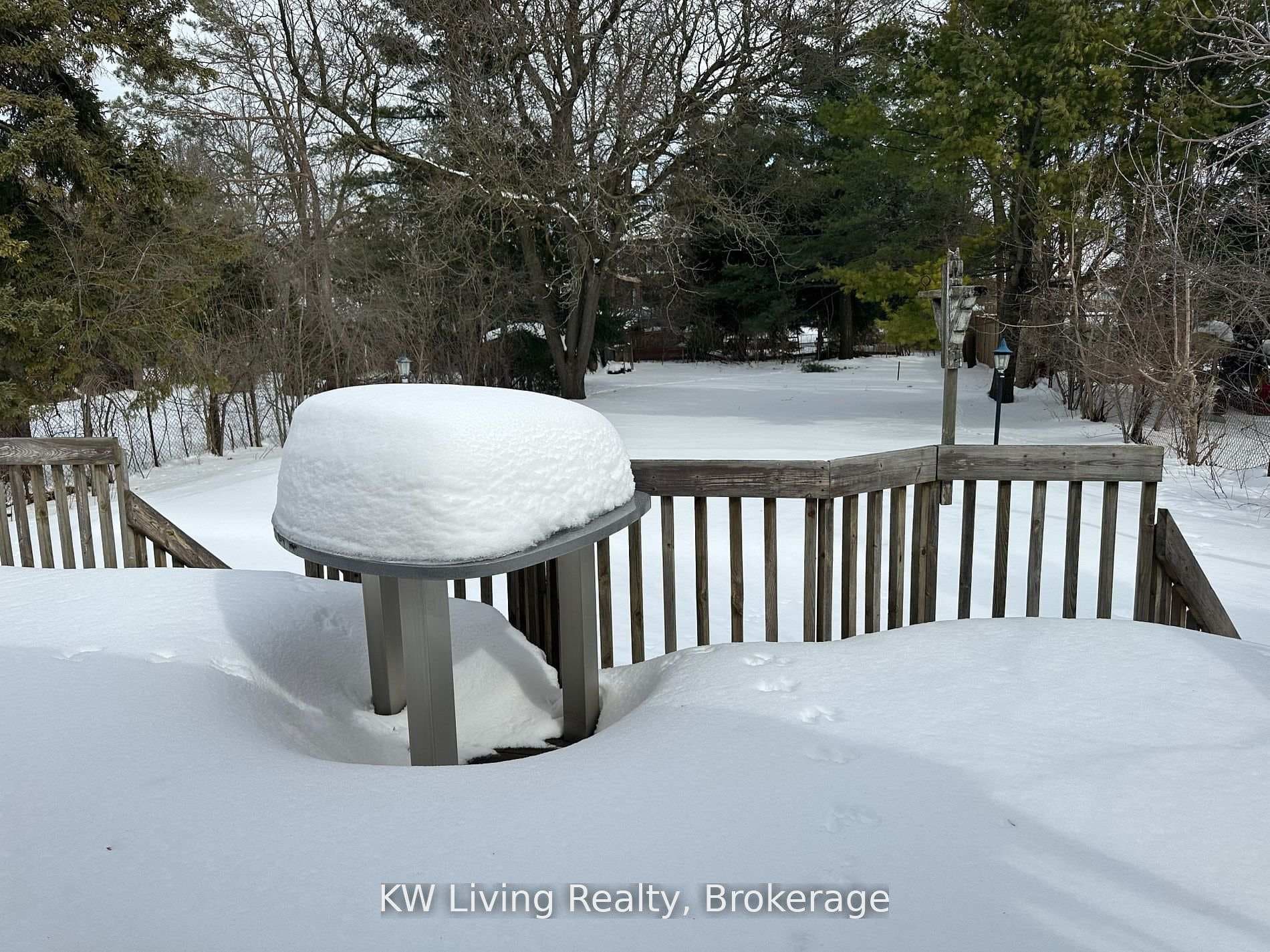 173 Sussex Avenue photo 14