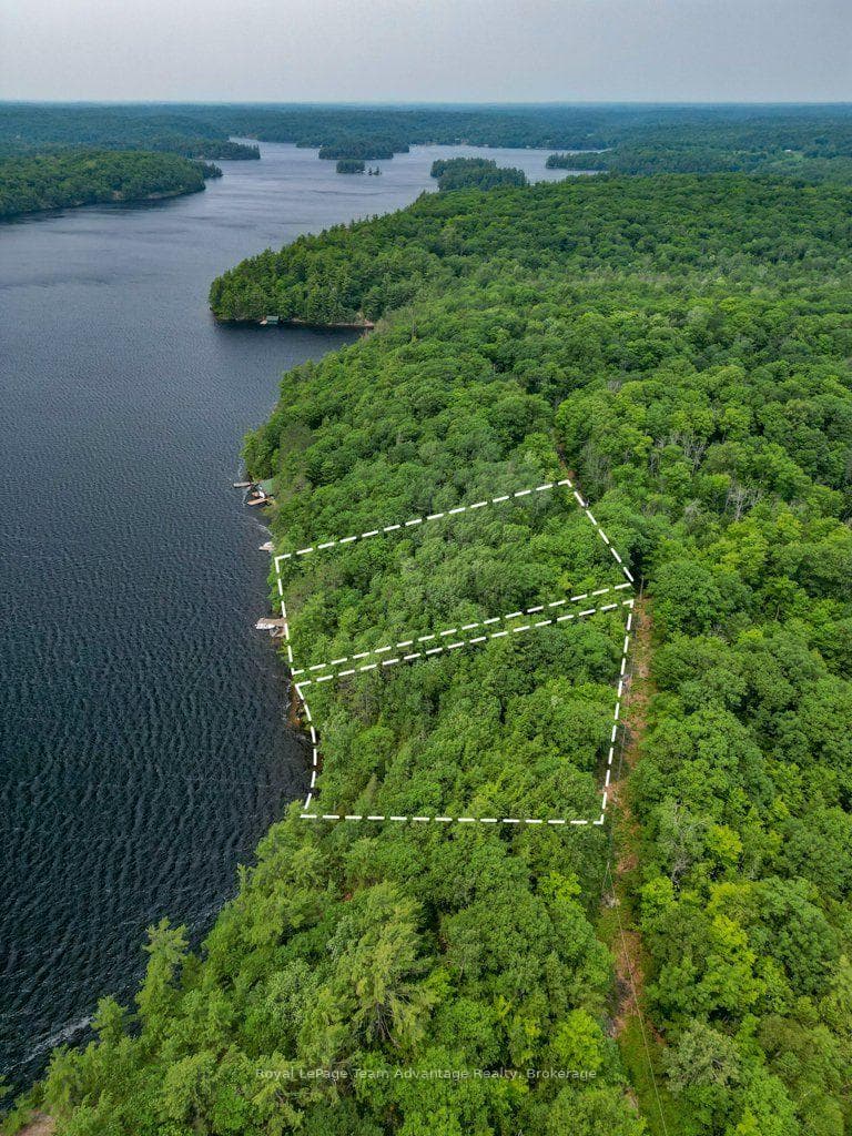 Aerial with Approximate Lot Line