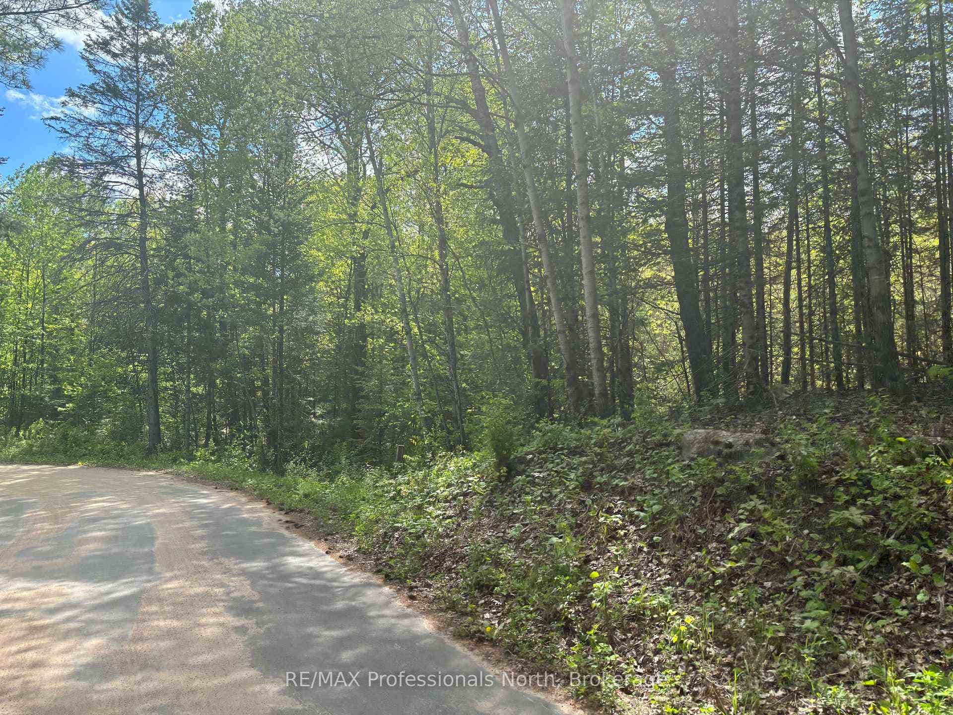 0 Spar Lake Road photo 7