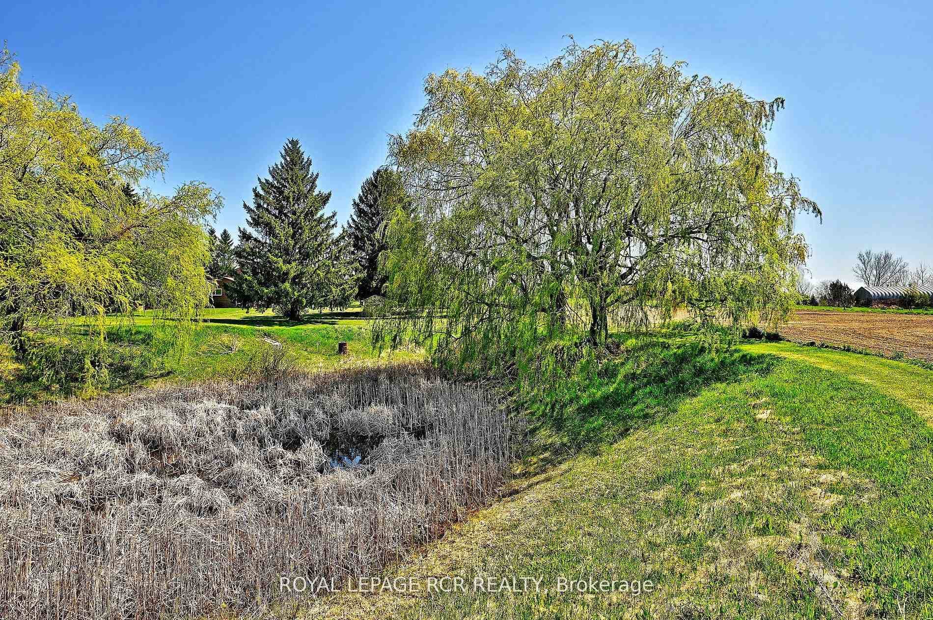 6215 17th Side Road photo 36