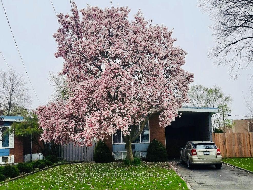 154 Luscombe Street photo 2