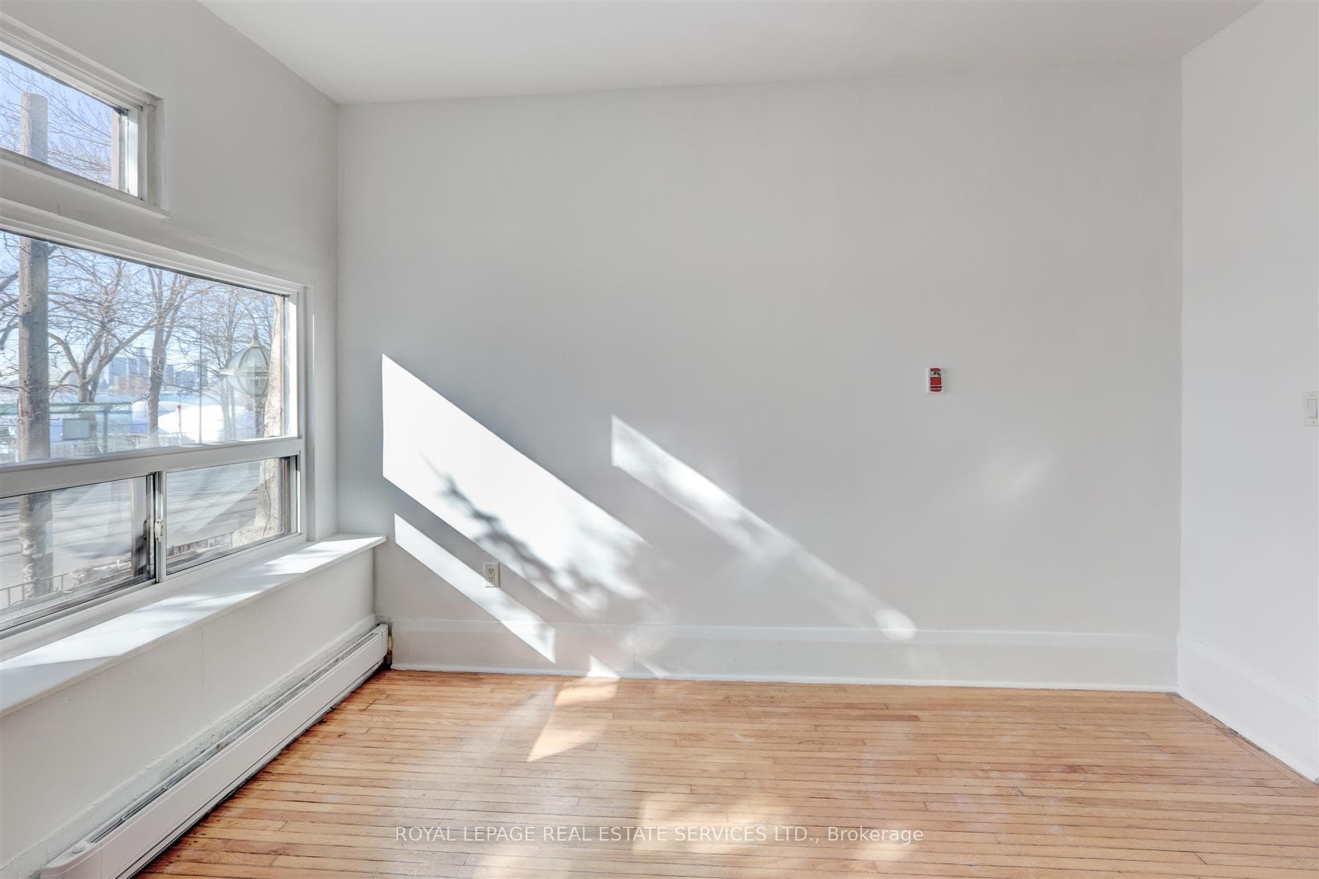 1530 King Street Unit 101 photo 13