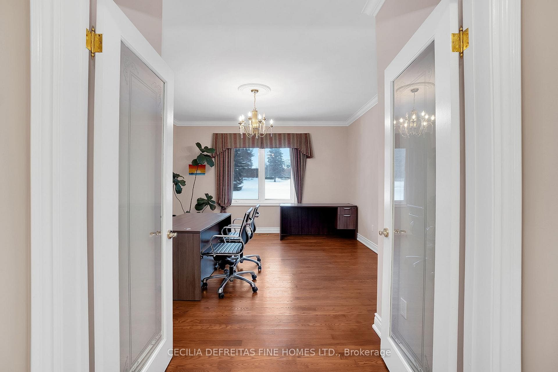 38 Orico Court photo 18