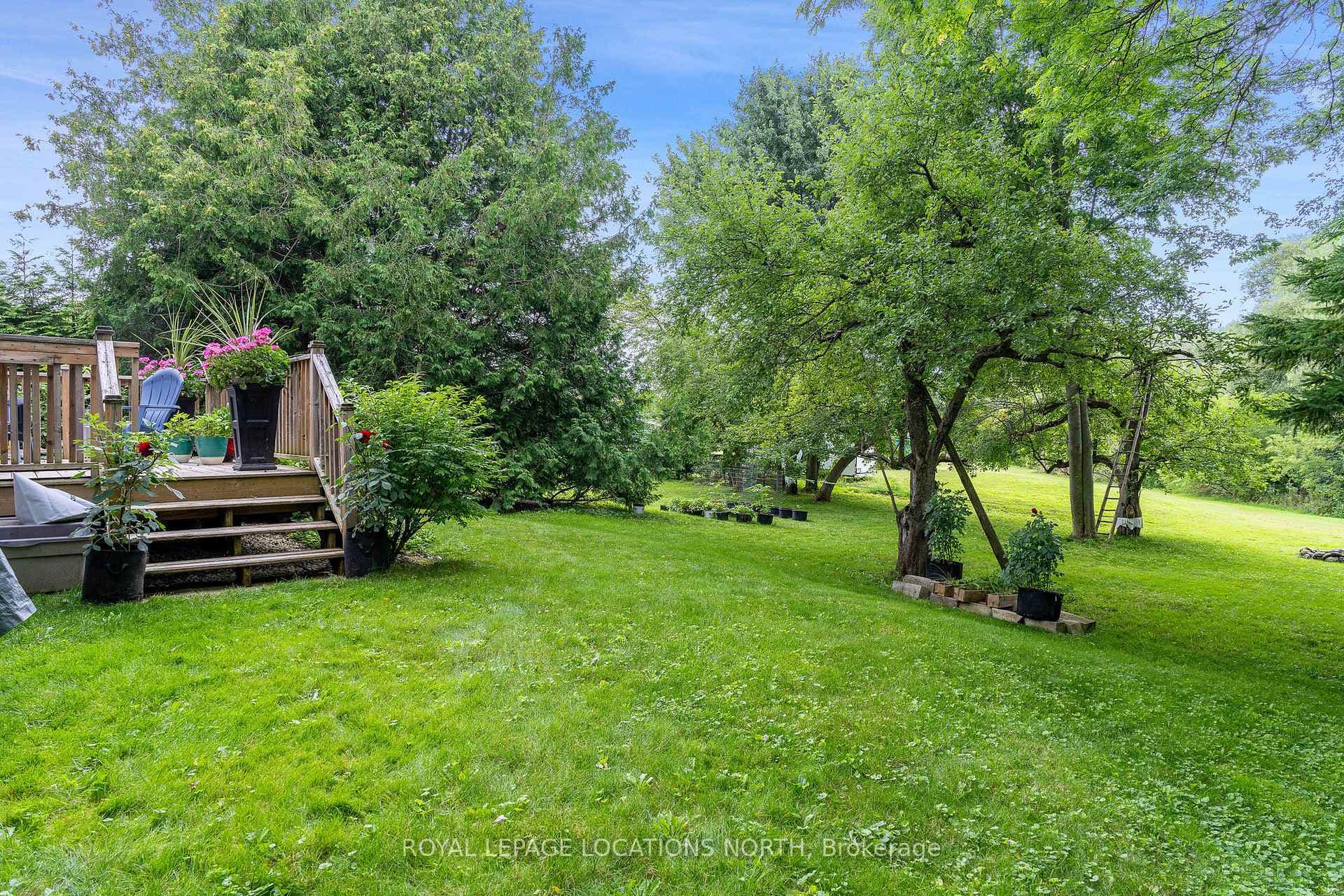 92 Duncan Street photo 32
