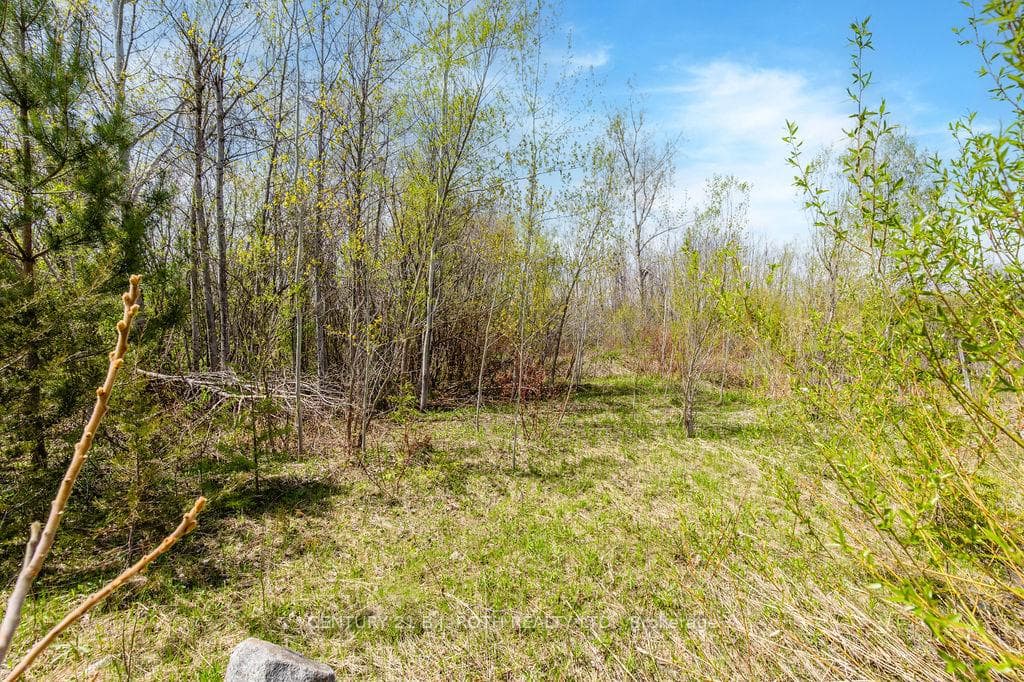 15 Quarry Road photo 27