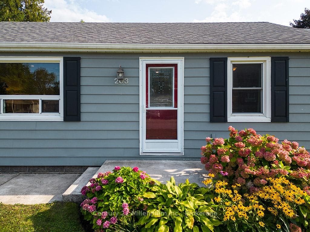 203 Aiken Street photo 8