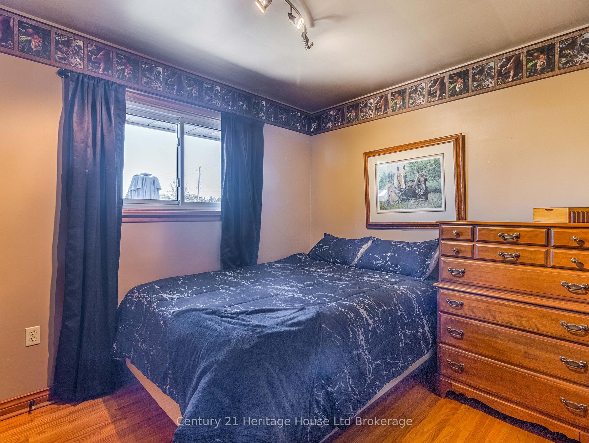 153 Springbank Avenue photo 21