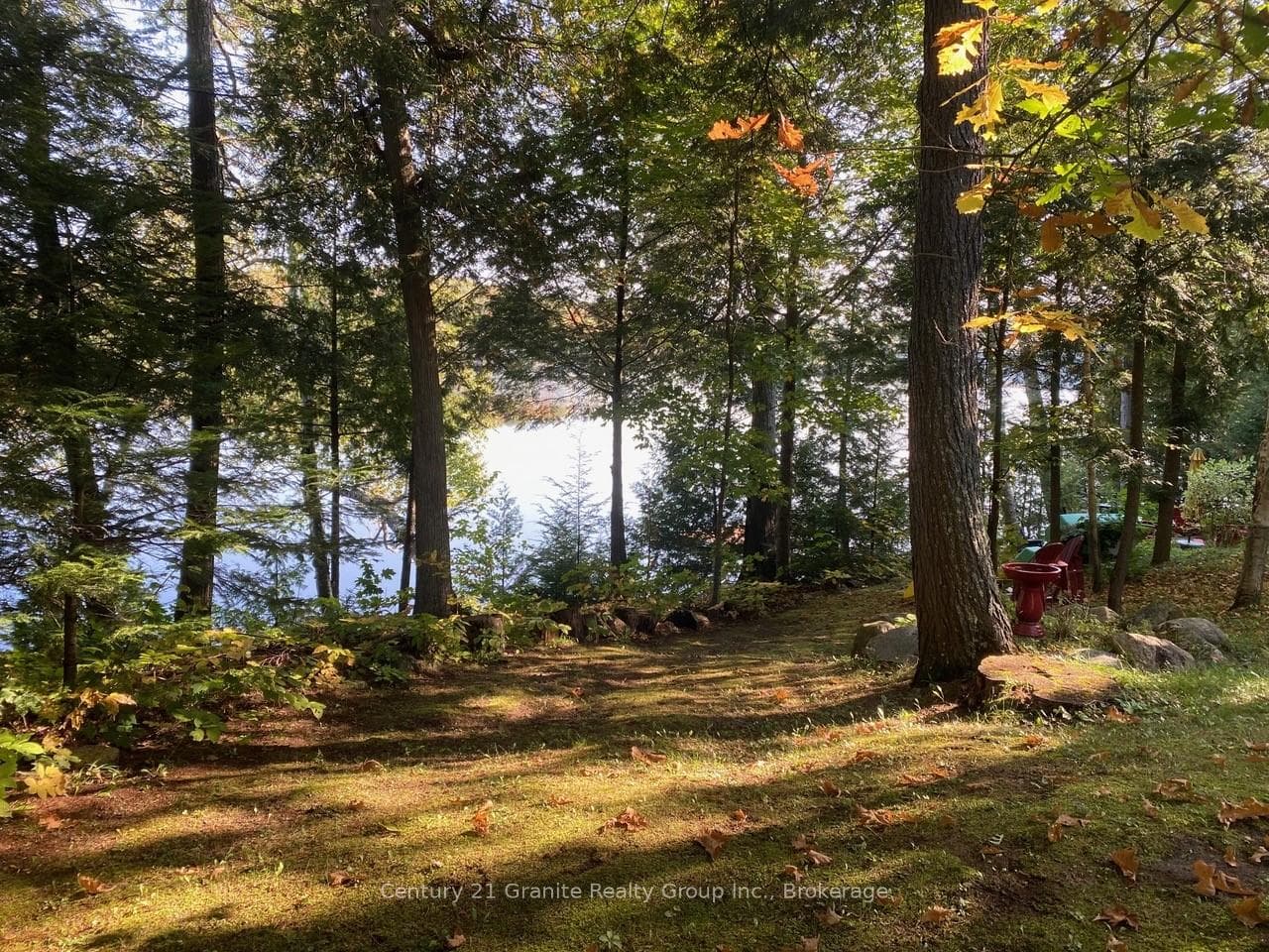1052 NUTCRACKER Trail photo 37