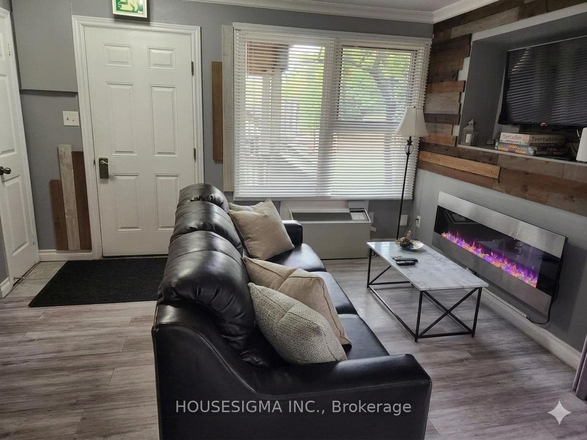 Electric fireplace. Pull out sofa.