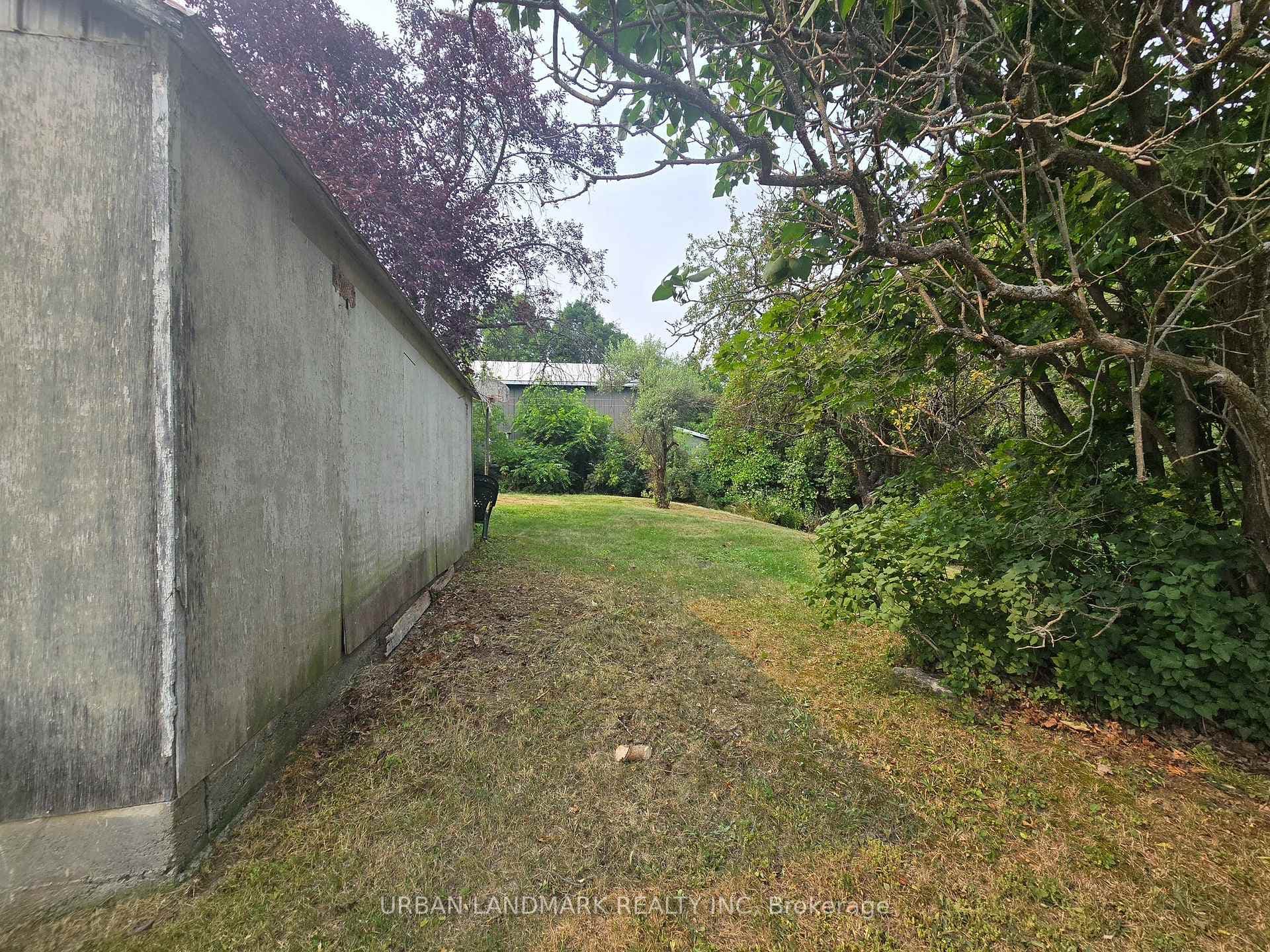 55 Nelson Street photo 10