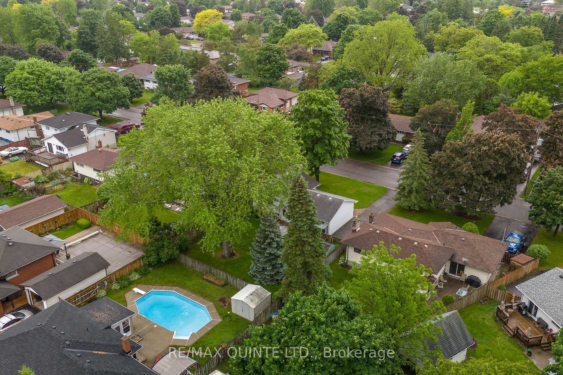 29 Lexington Crescent photo 34