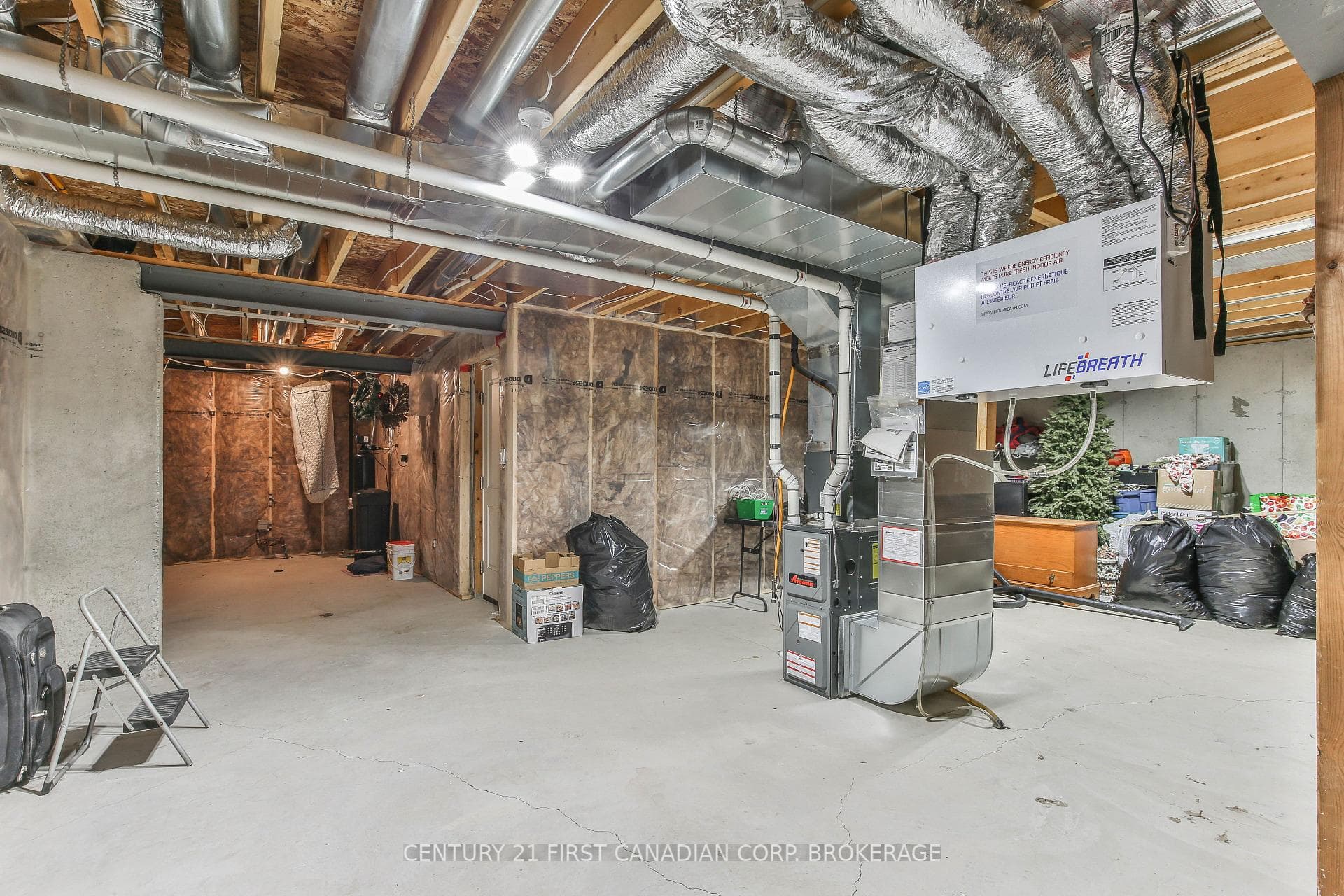 283 Boyd Boulevard photo 28