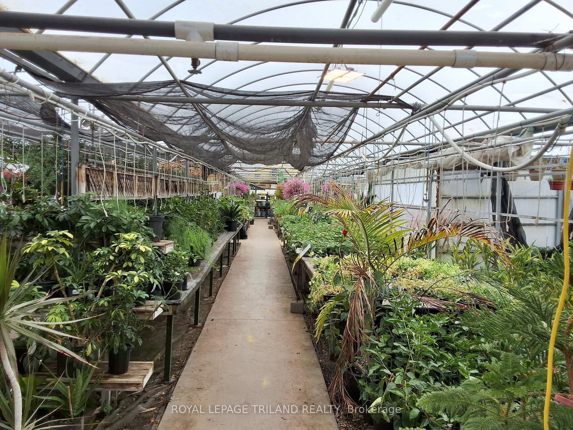 1720 Gore Road photo 10