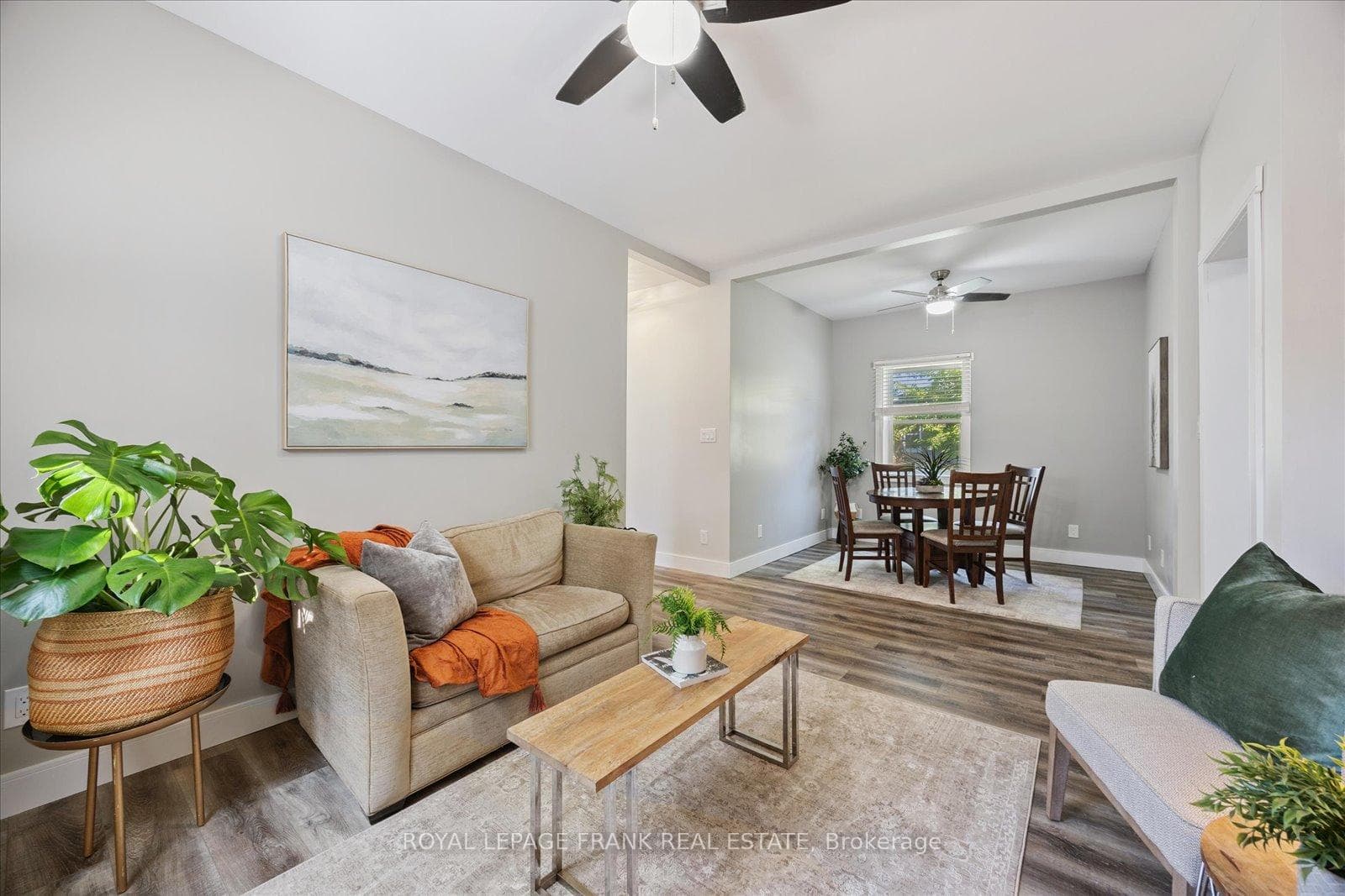 29 Ridout Street photo 8