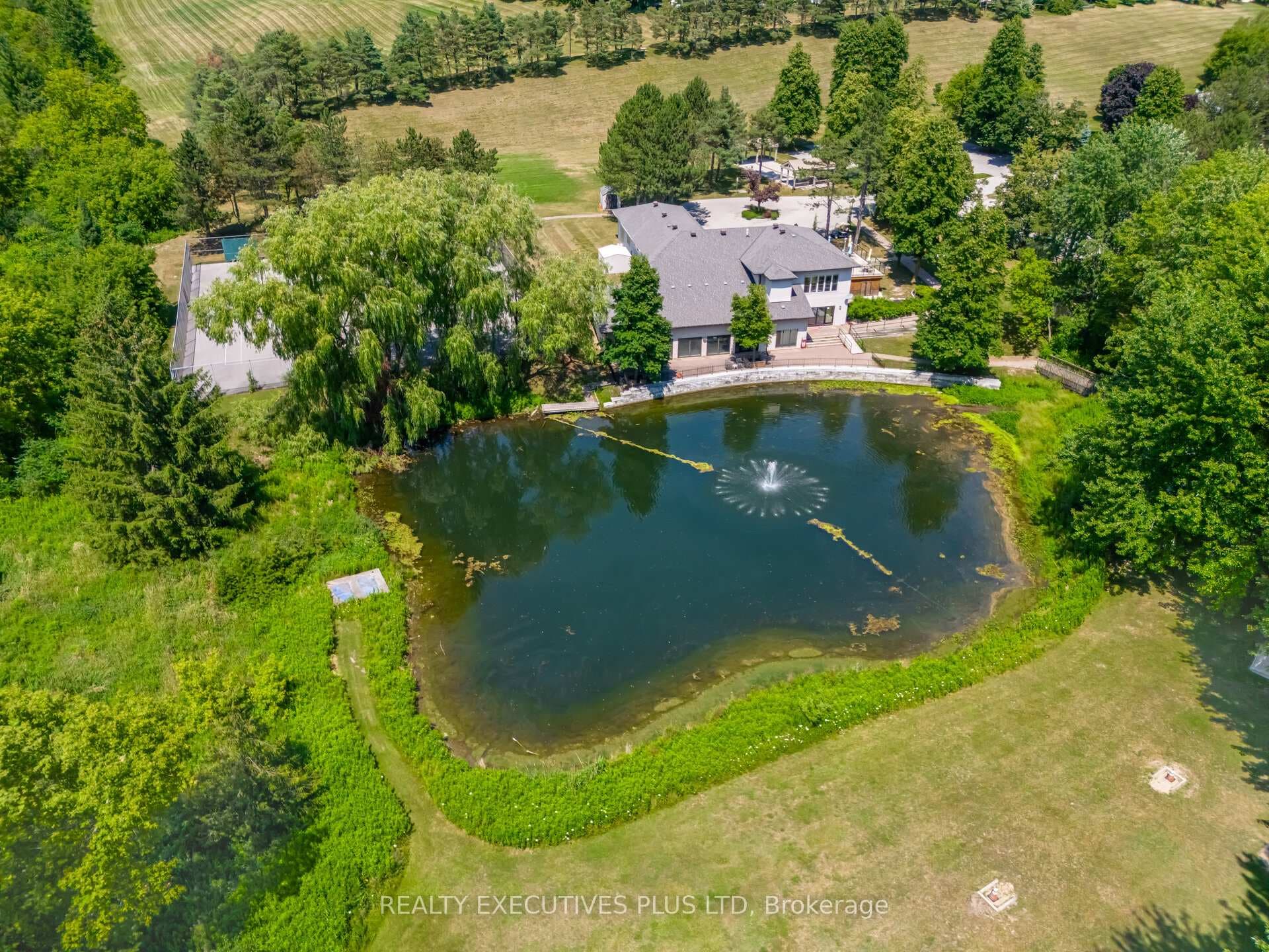3 Pineview Court photo 35