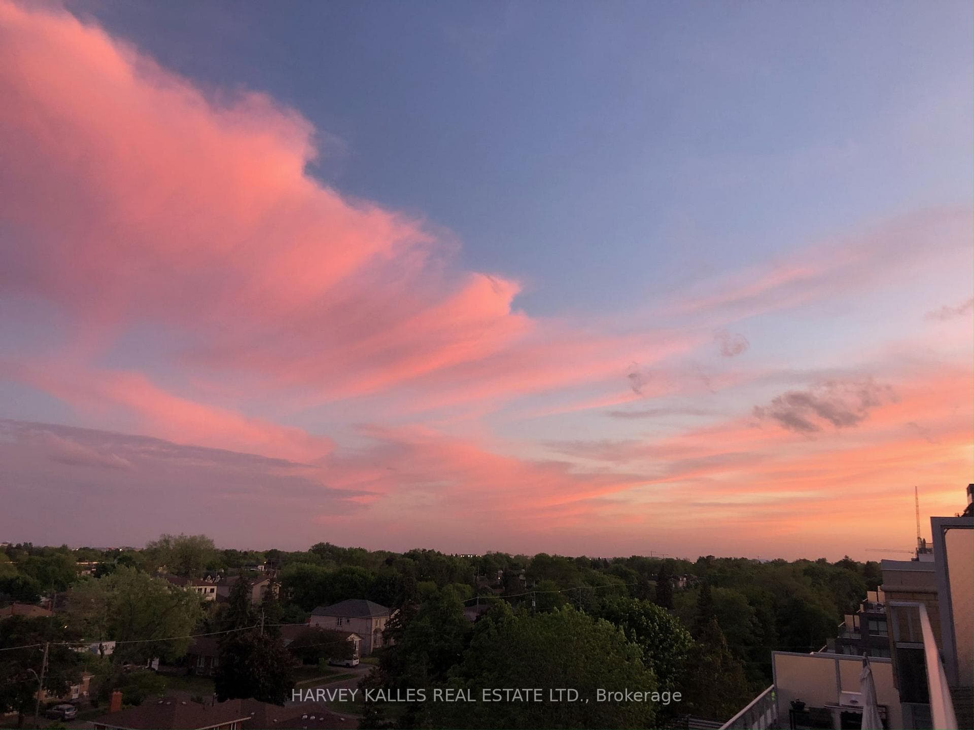 701 Sheppard Avenue Unit 701 photo 40