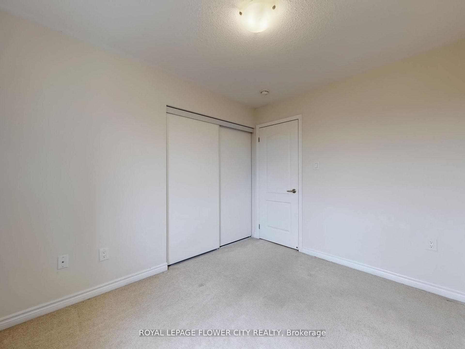21 Eckford Lane photo 41