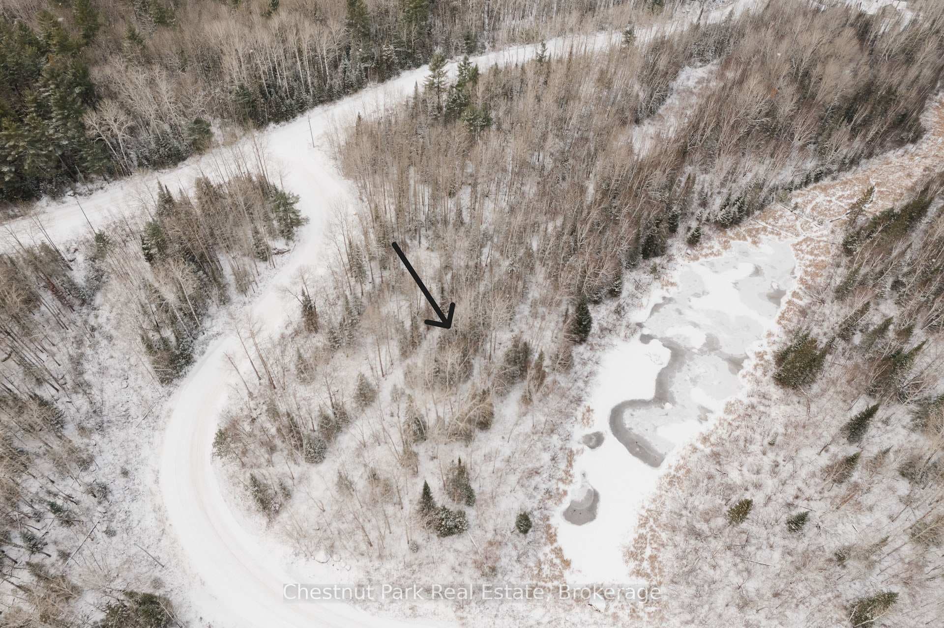 445 Fox Run photo 14