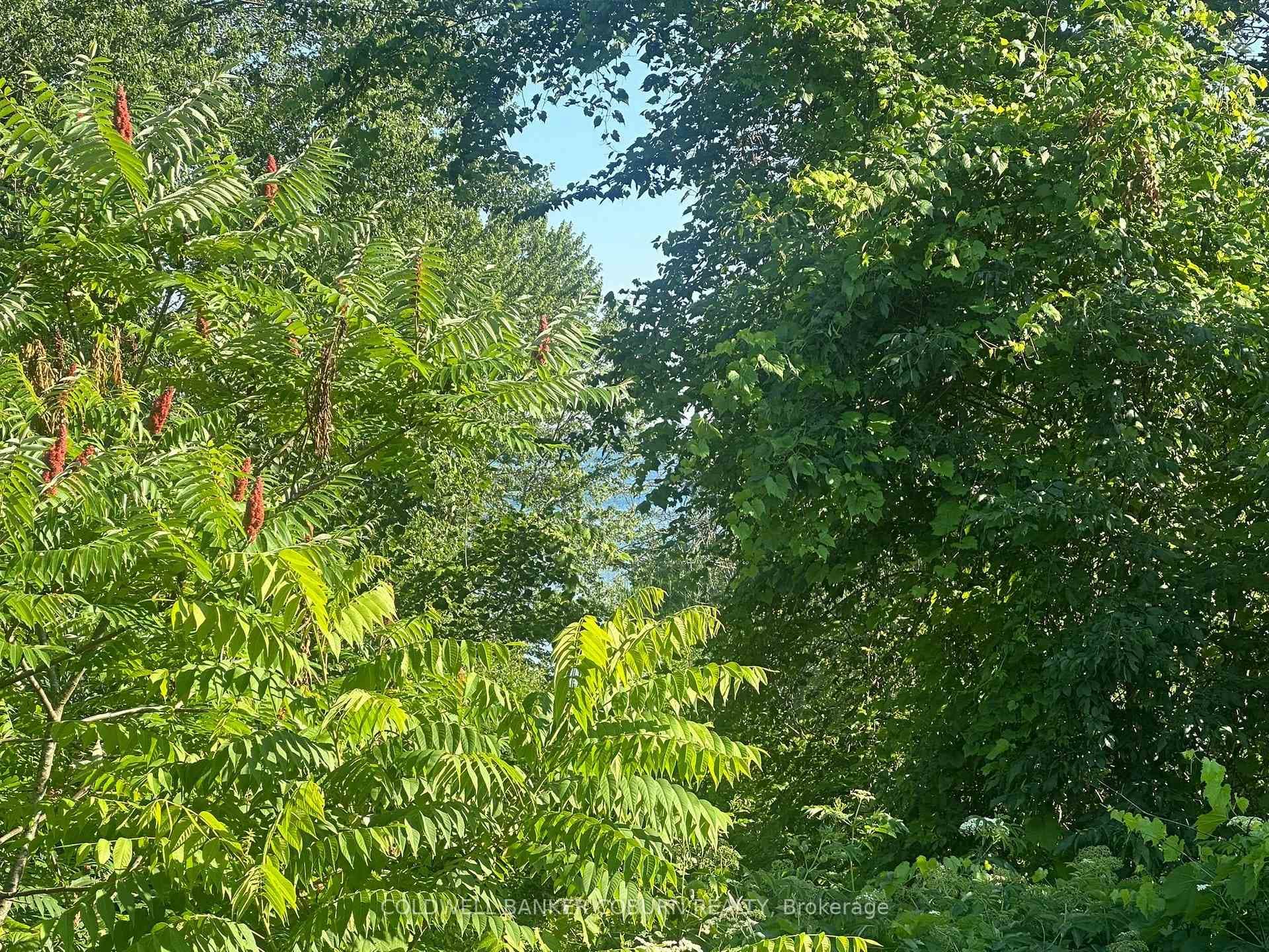 Waterfront Lot