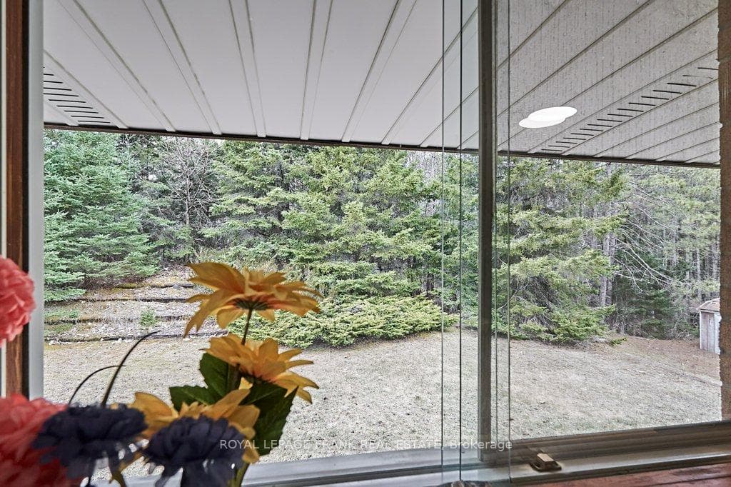 316 Wagg Road photo 12