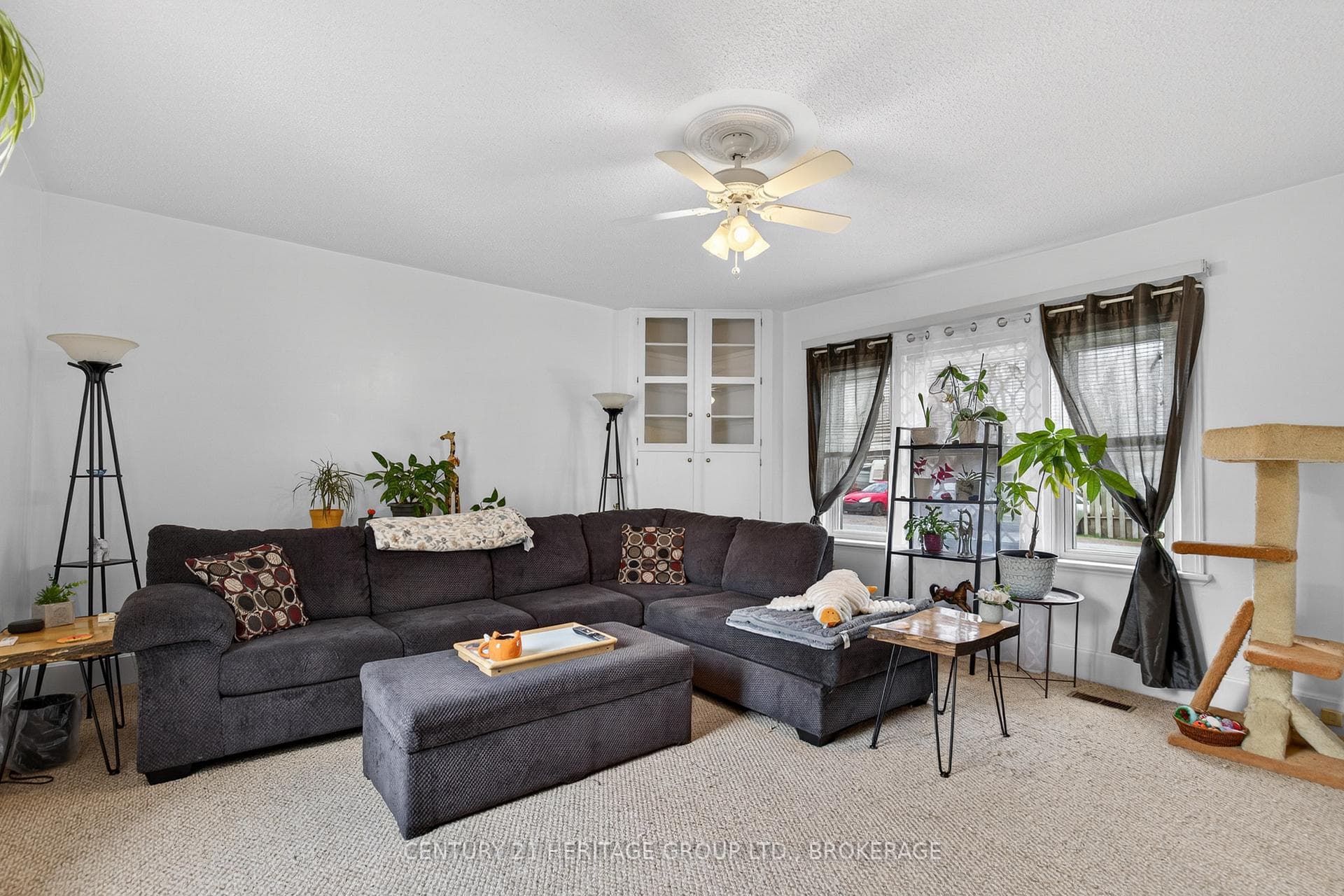4 Gilbert Street photo 26