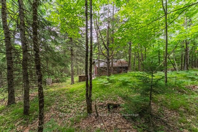 101 Balsam Chutes Road photo 10