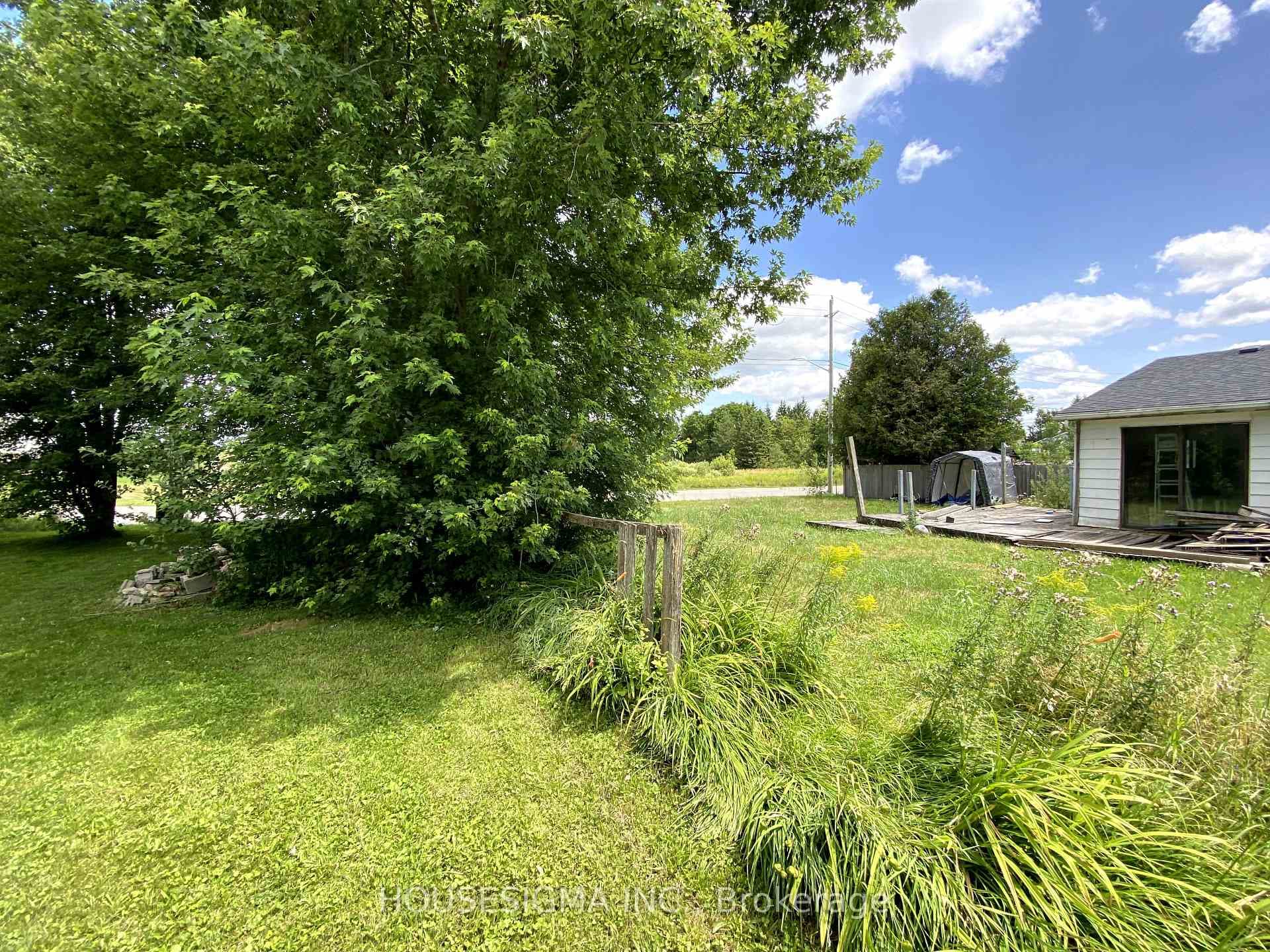 281 Doyle Street photo 21