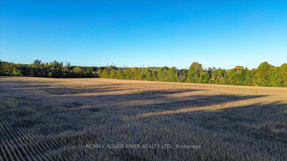 190 McBride Road photo 25