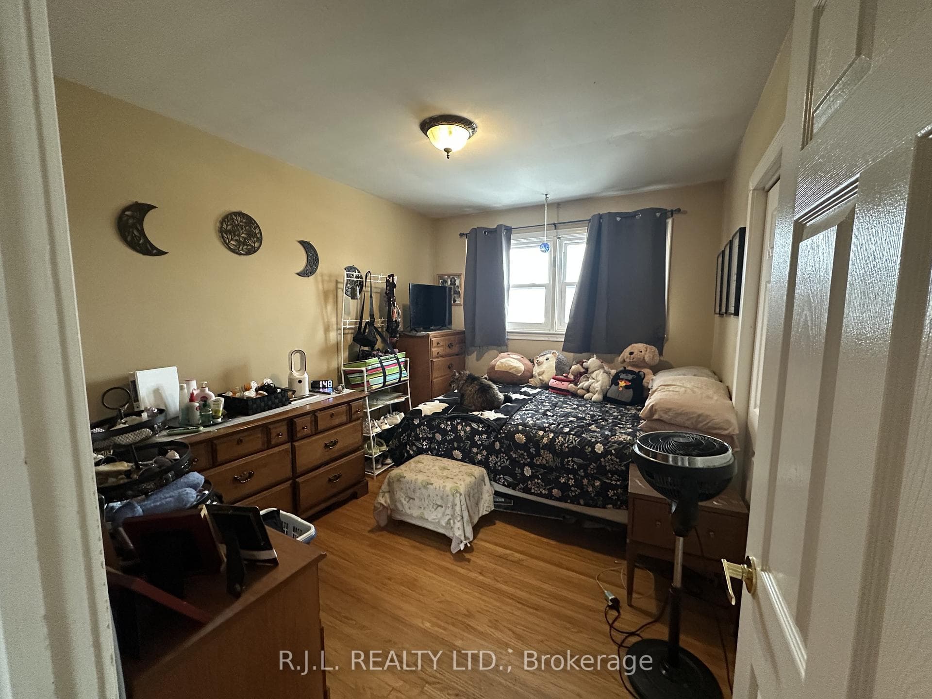 394 Wolsely Street photo 10