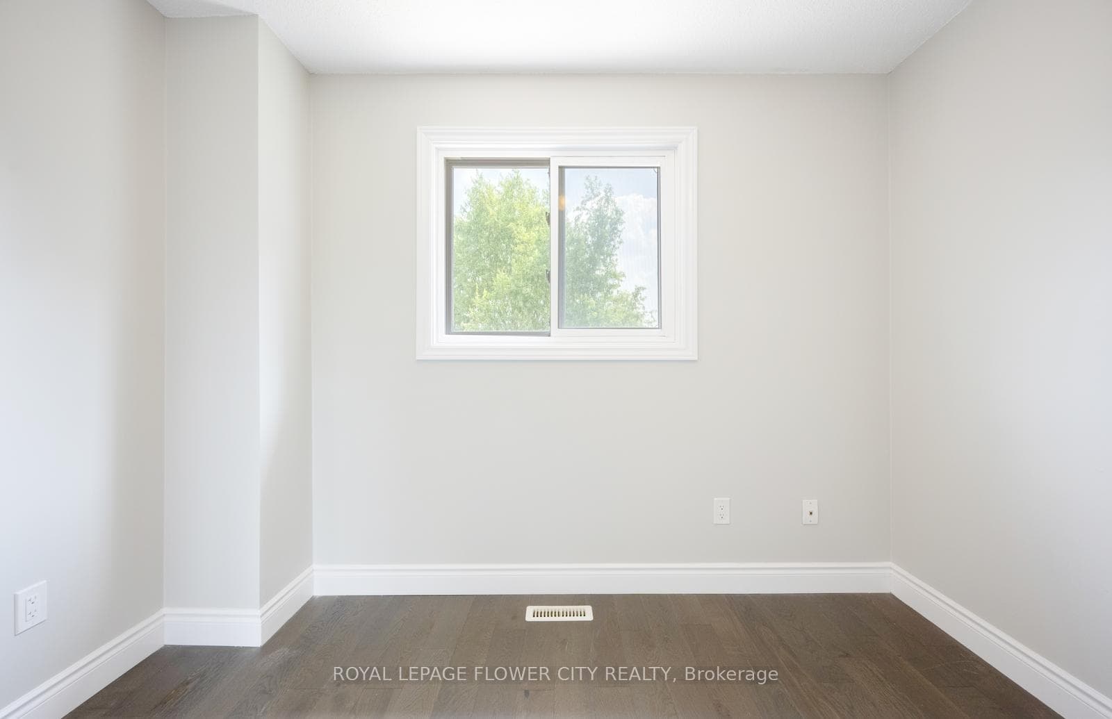 16 Ecclestone Drive photo 26