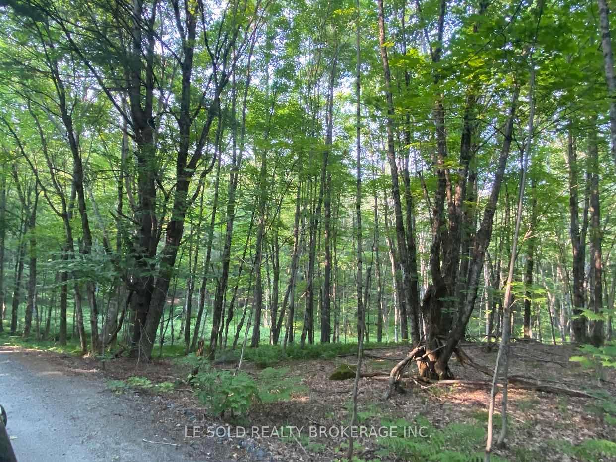 1310 Camel Lake Road Unit Lot # 7 photo 4