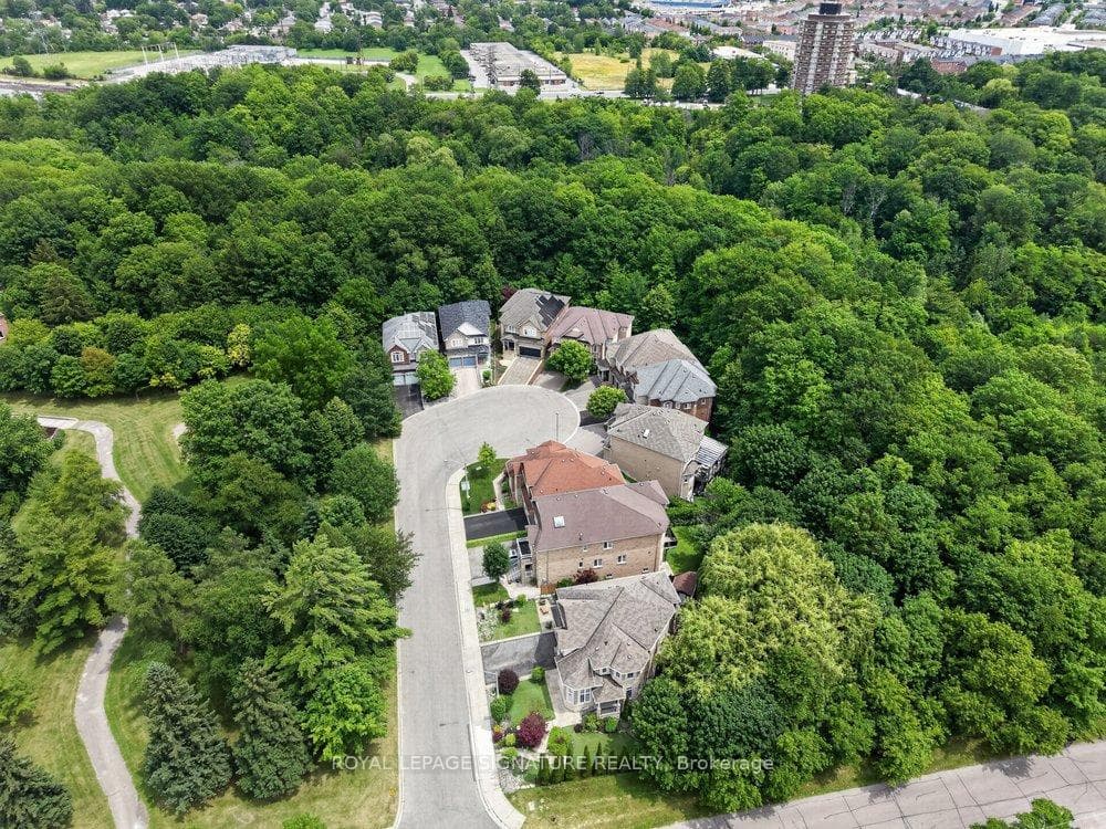 5 Broderick Place photo 50