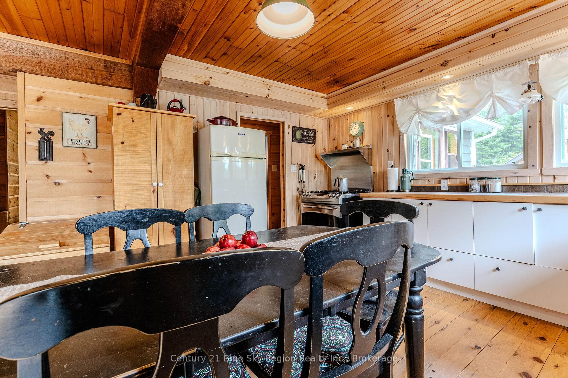 10385 RABBIT LAKE N/A photo 11
