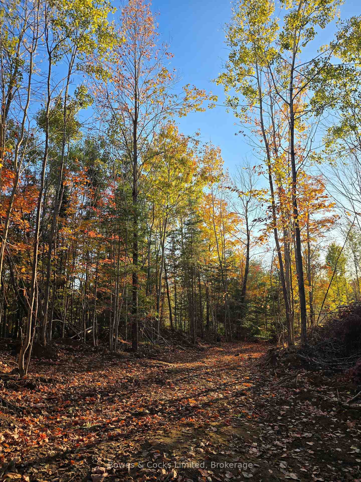 42 Clear Lake Court photo 19