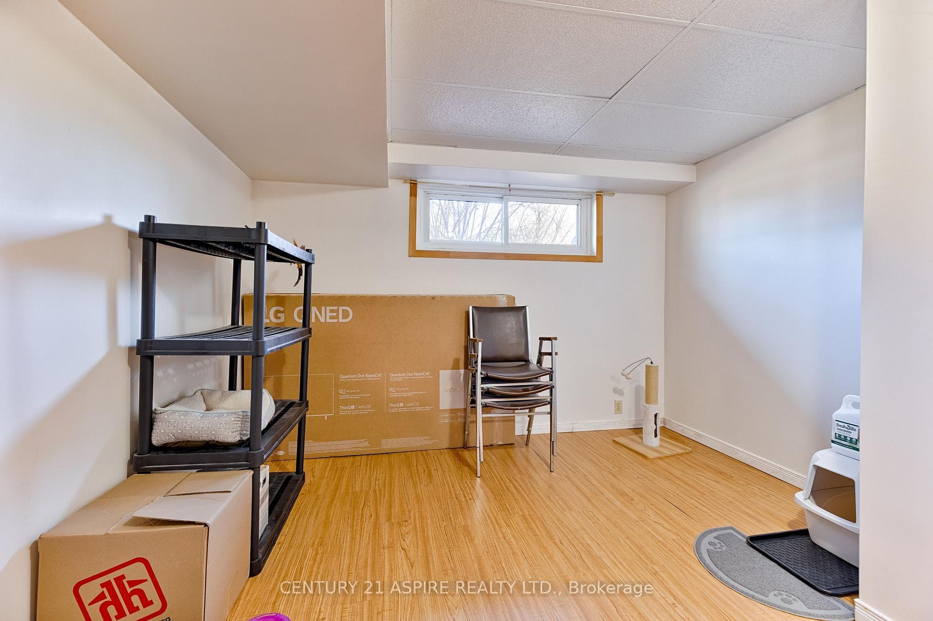 15 Roy Street photo 36