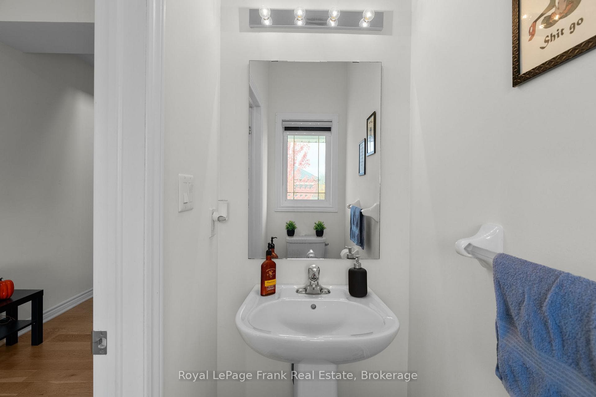 18 Stoddart Street photo 11