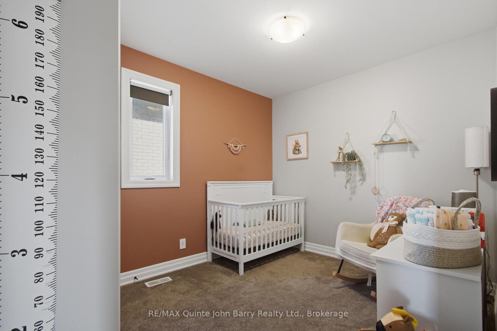 8 Tackaberry Drive photo 19