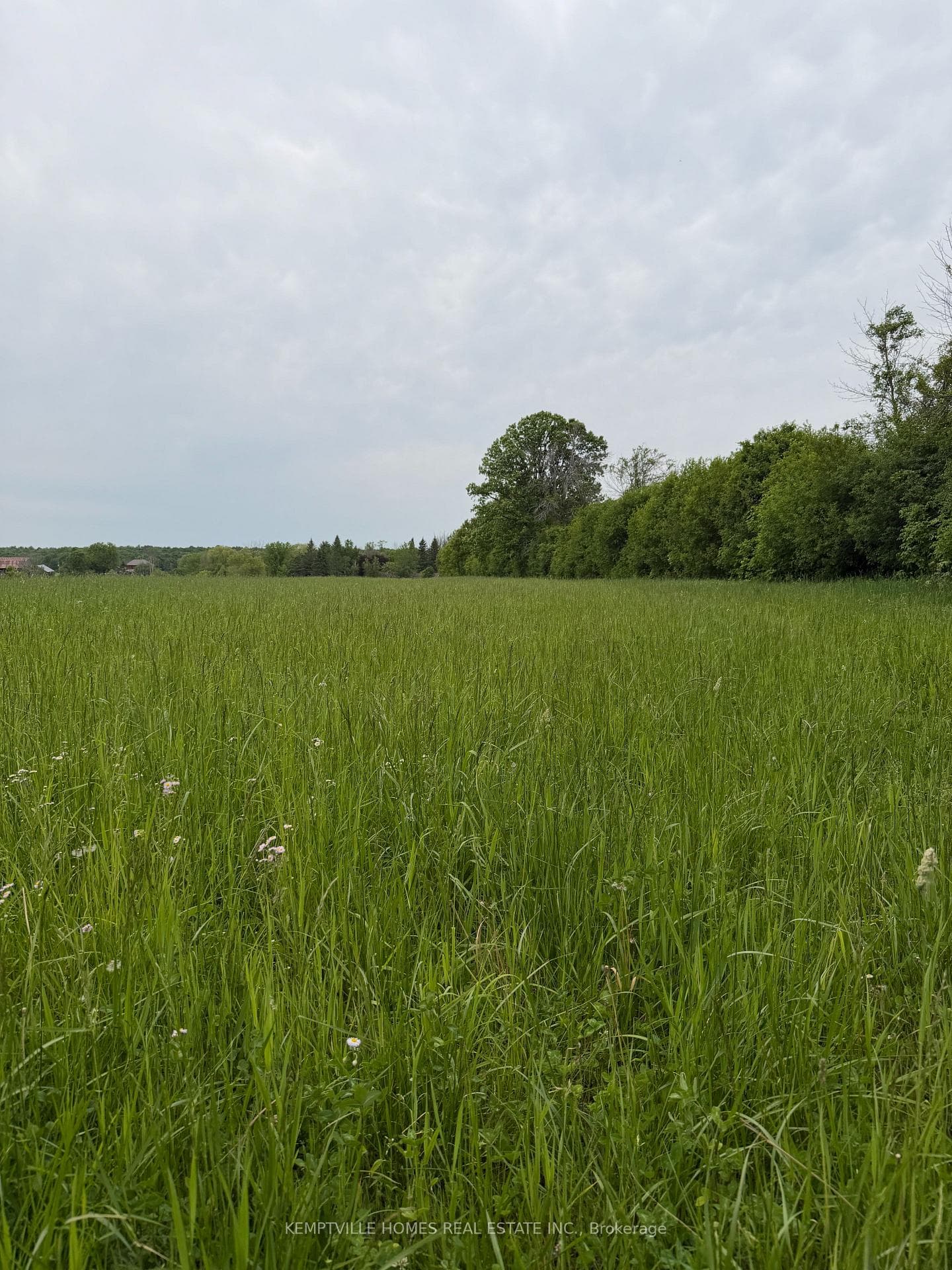 00 RICHARDSON Road photo 32