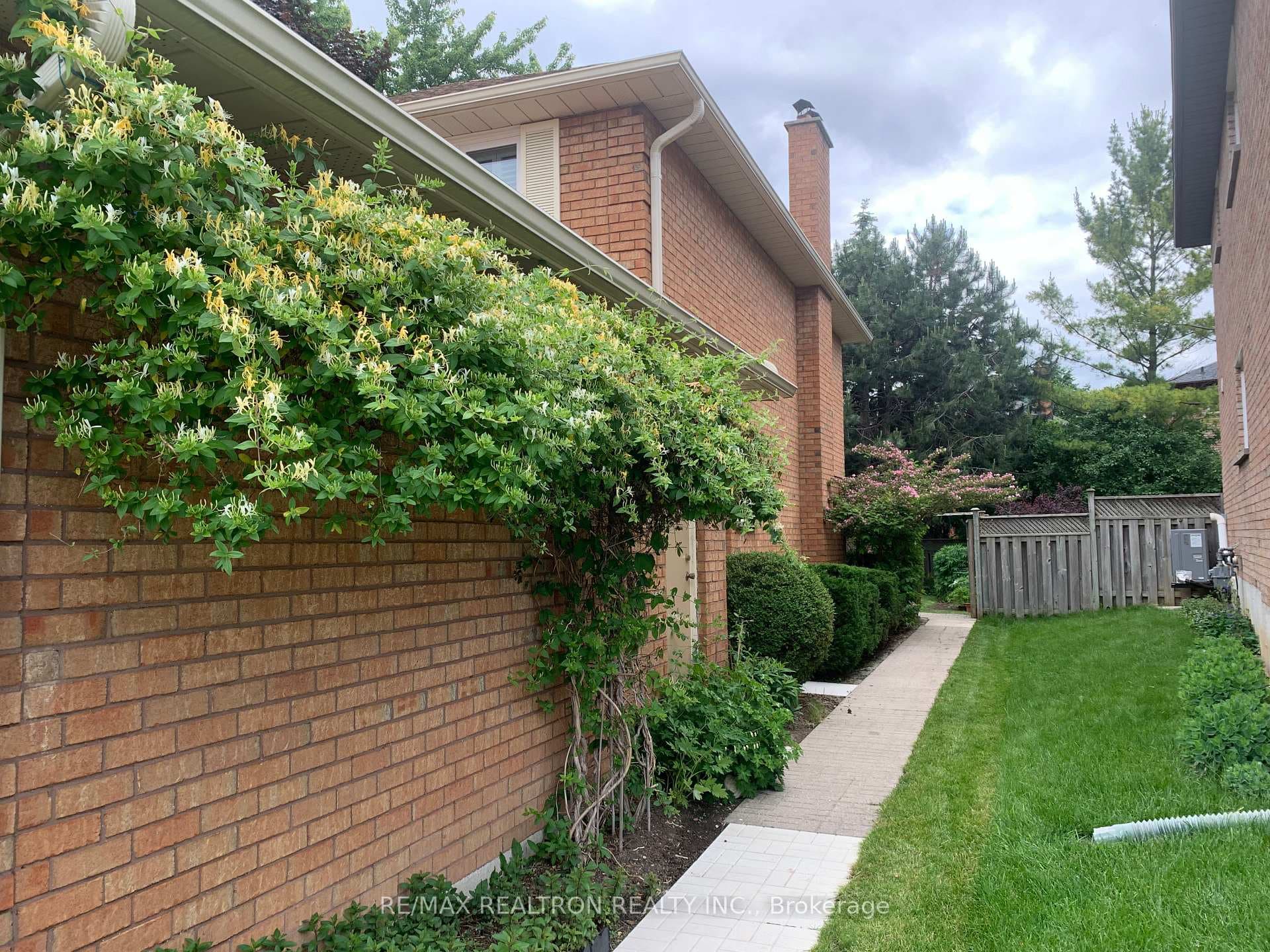 Walkway to Back Yard