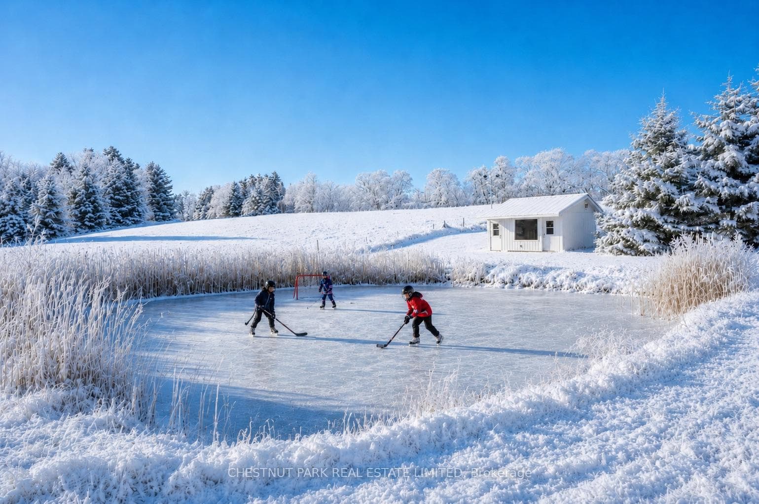 Virtual Winter