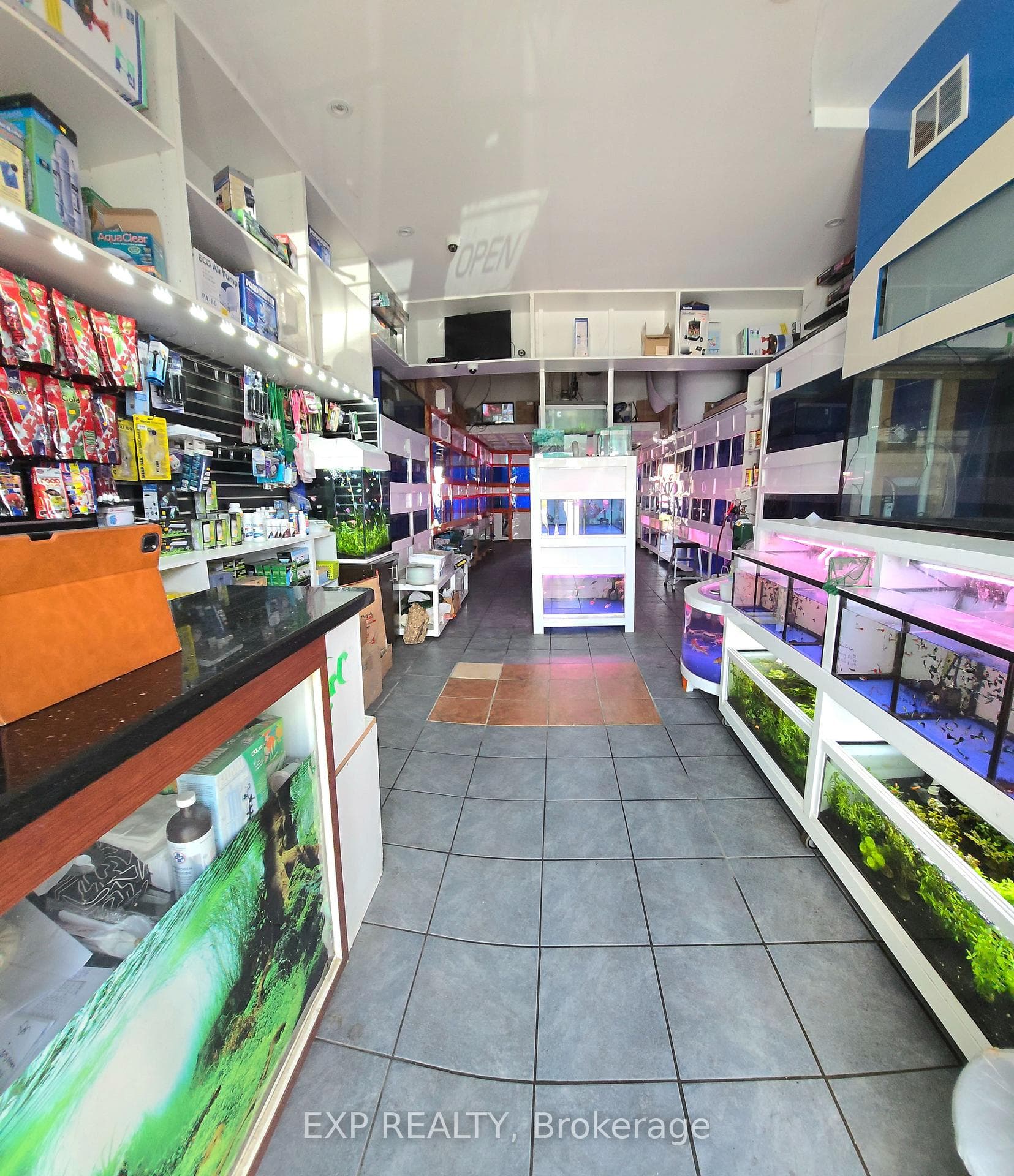 4779 Steeles Avenue Unit B10 photo 8