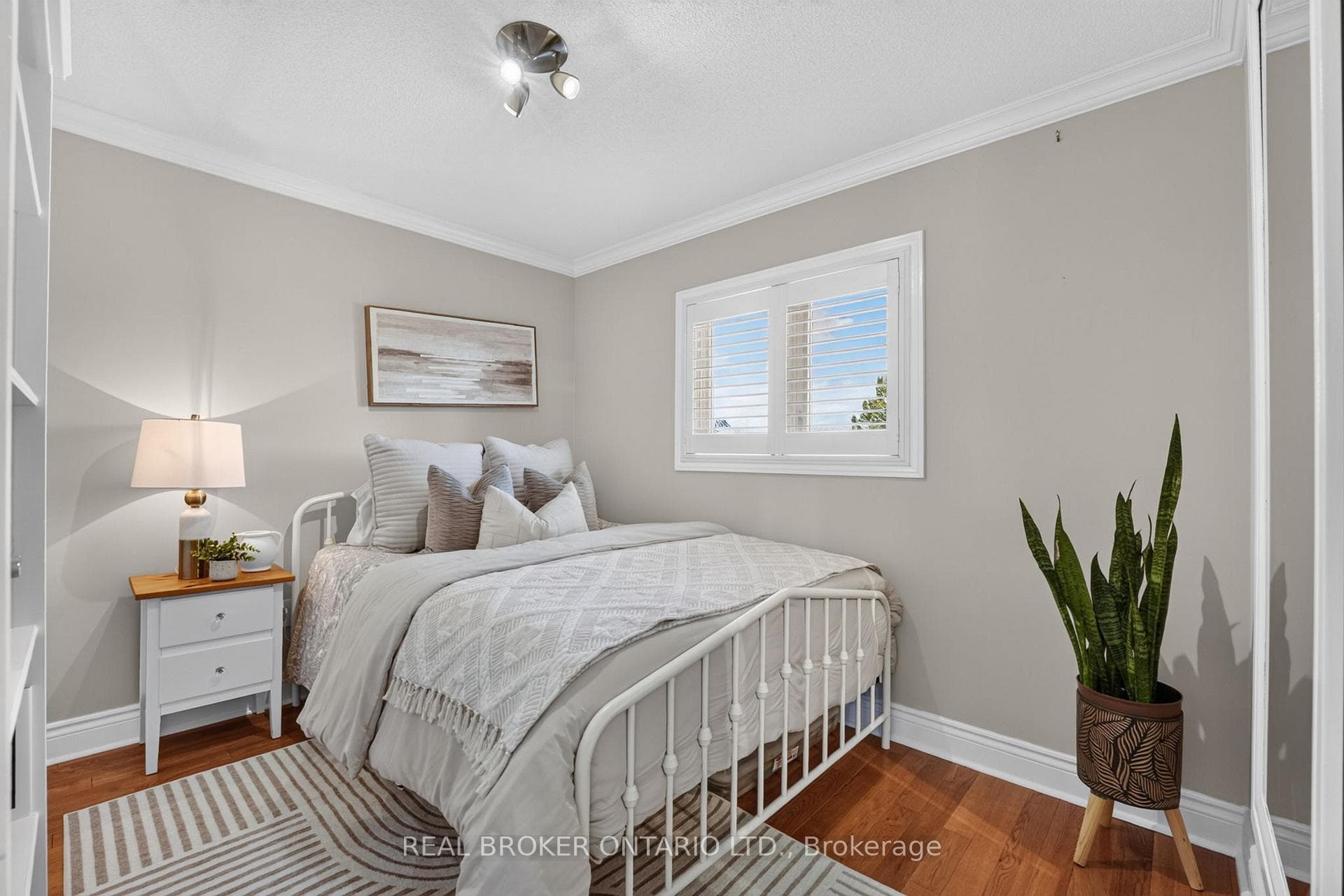 74 Harley Avenue photo 23