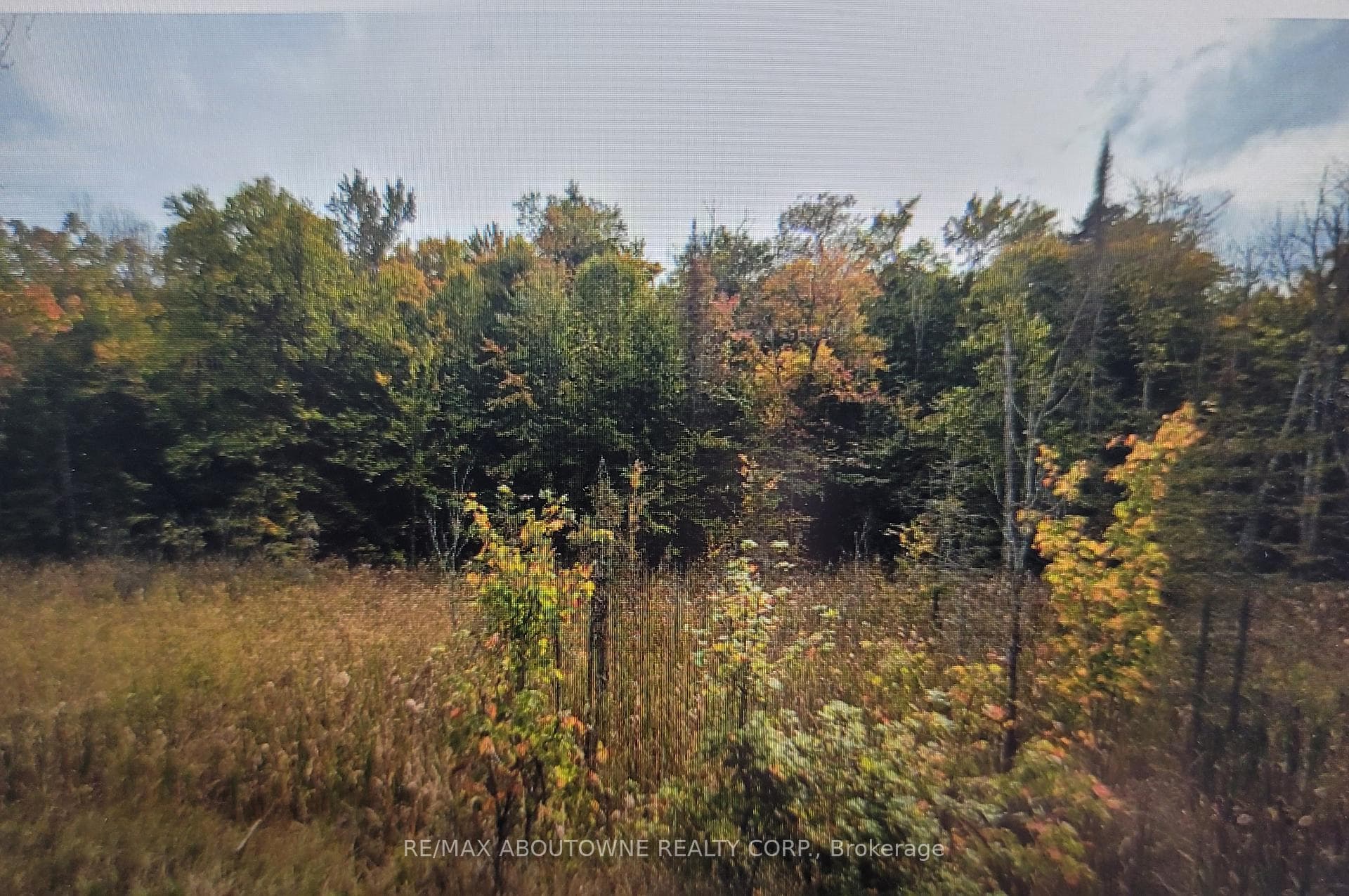 780 Lot 7 HWY 520N