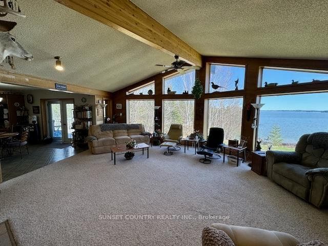 16 Willow Court photo 4