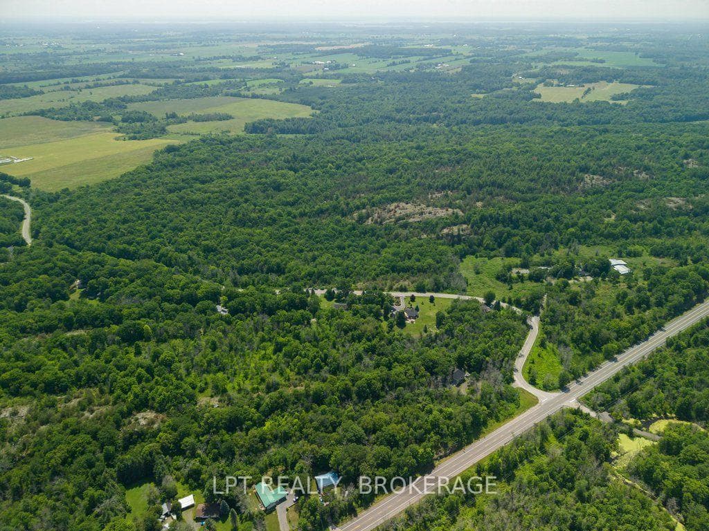 2978 Pine Grove photo 47