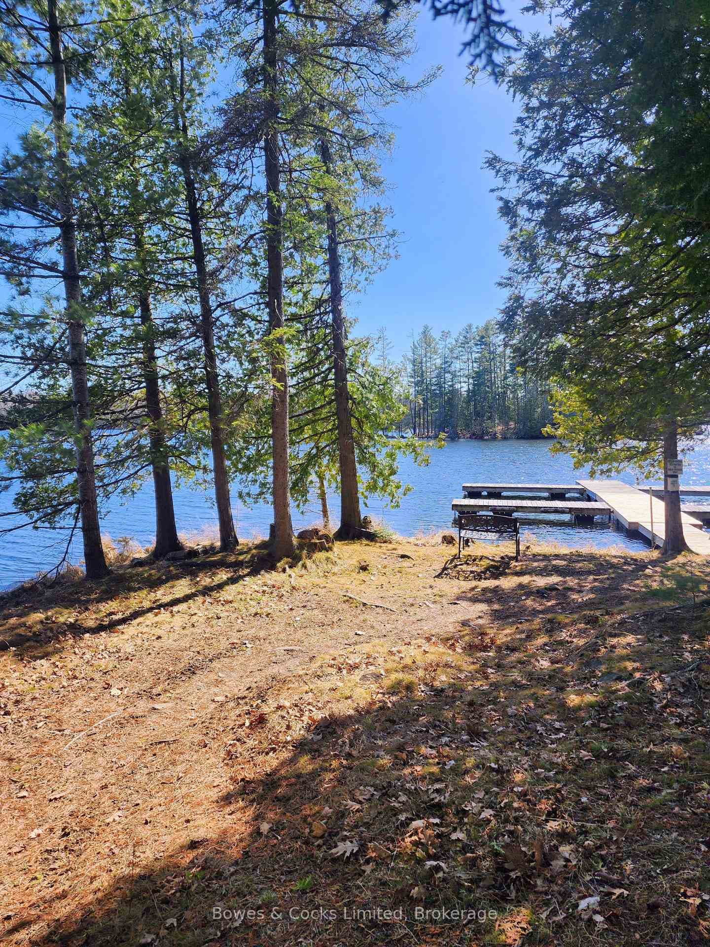 42 Clear Lake Court photo 8