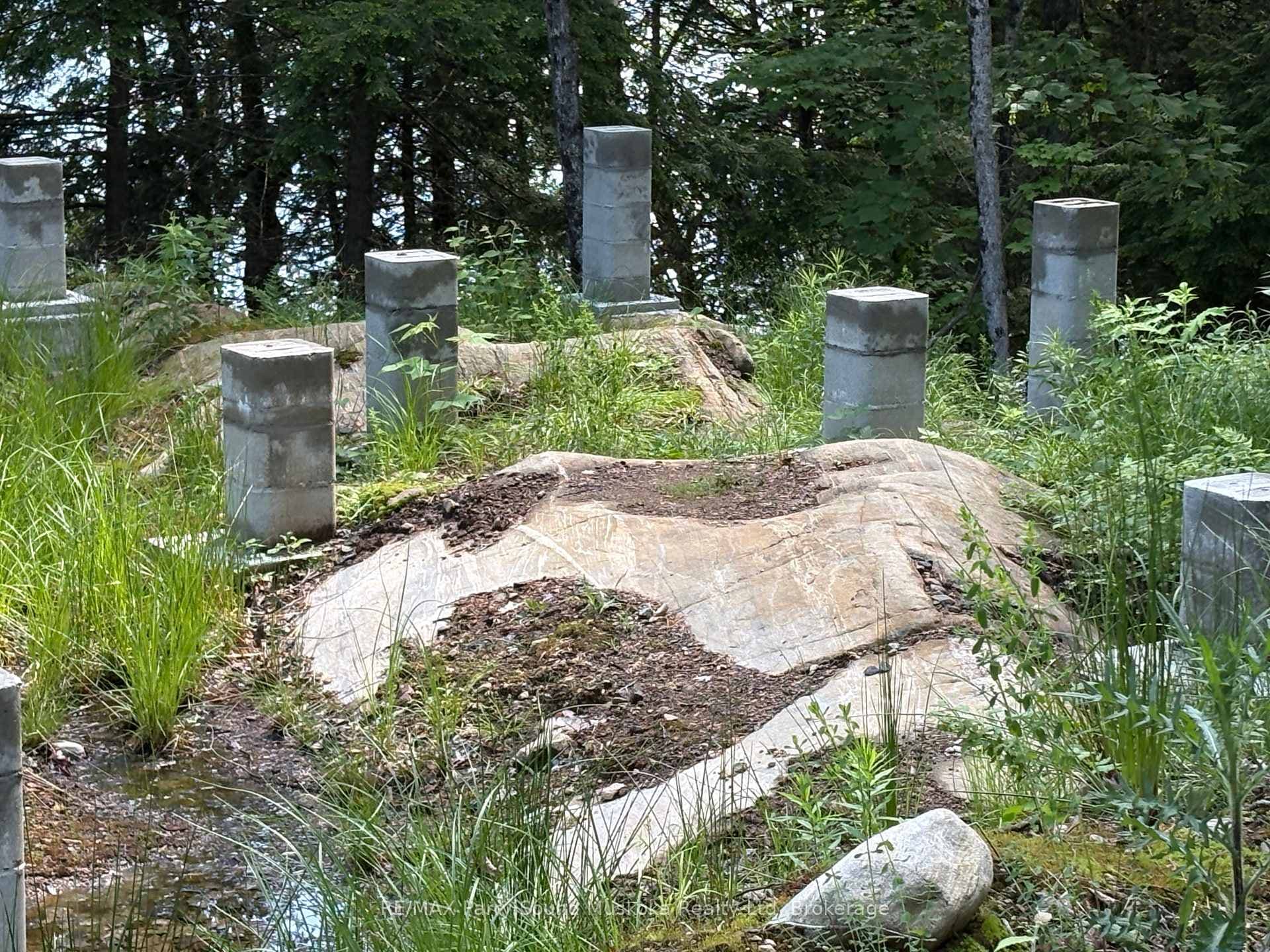 85 Sunnyshore Park Drive photo 13