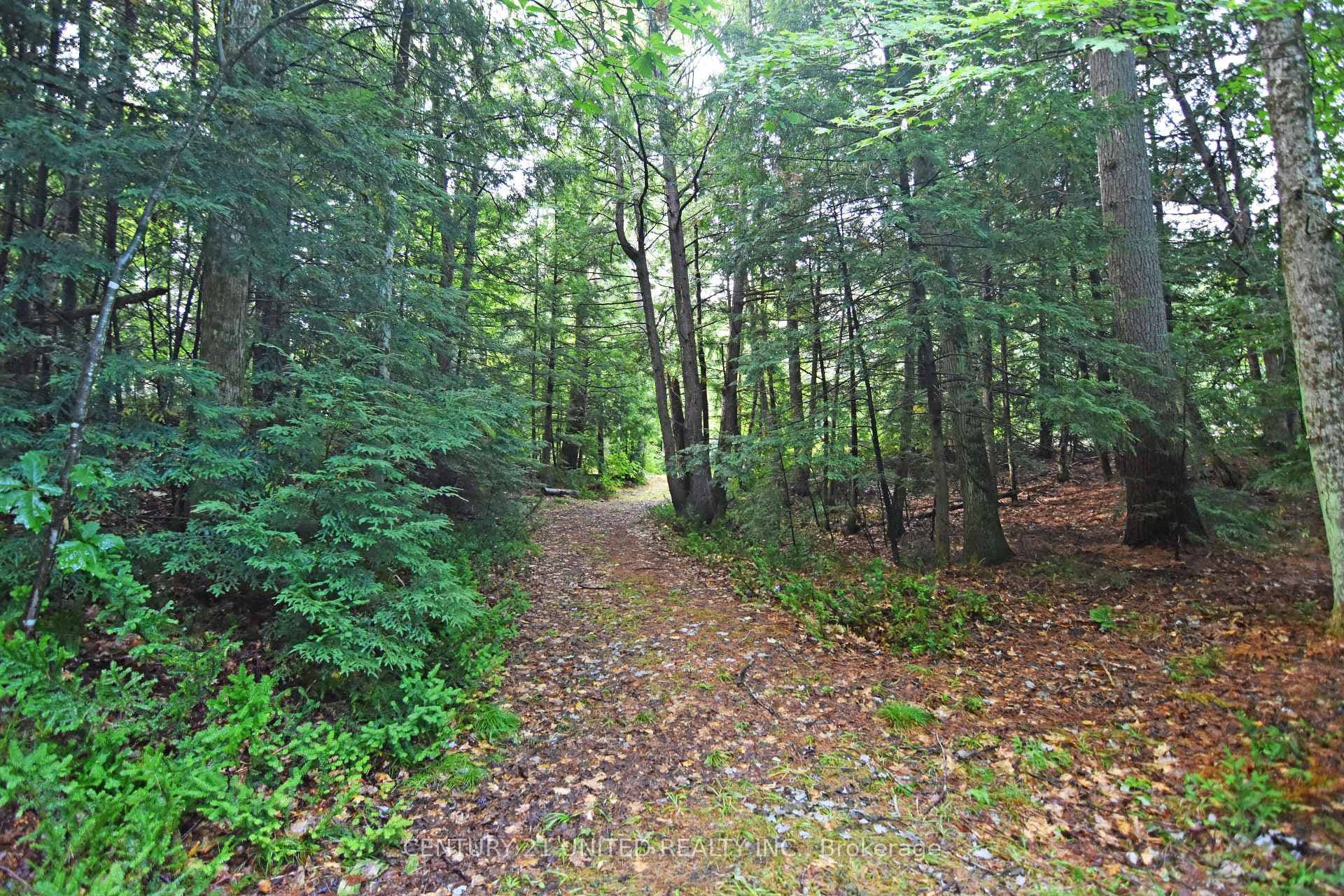 0 Clark Line Road photo 7